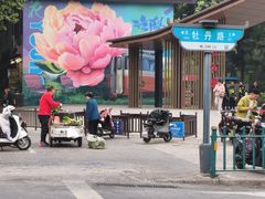 -洛阳市牡丹公园