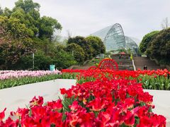 -南山植物园