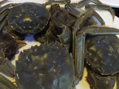 -皇家5号海鲜烤肉火锅自助餐(聊城总店)