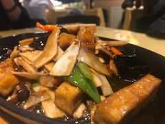 -素虎小呆鸟(西二旗店)