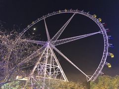 -锦江乐园舞狸花花游园会(夜场专享)