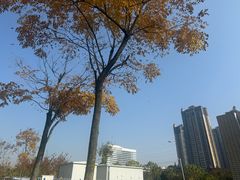 -徐氏竹香园牛肉火锅(飞虎路店)