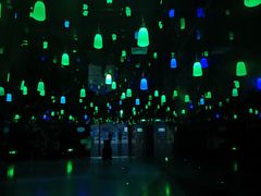 -西双版纳原始森林公园