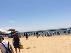 -碧海金沙