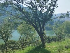 -黄河小浪底水利枢纽风景区