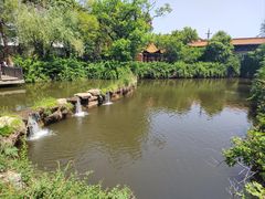 -皇藏峪国家森林公园