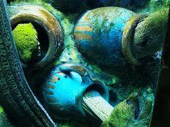 -太平洋海底世界