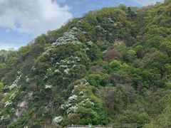 -少华山国家森林公园