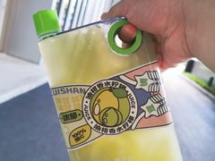 -野萃山·潮汕厚果汁(十亩地店)