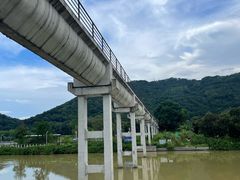 -风云岭森林公园