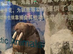 -深圳博物馆历史民俗馆