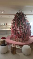 -SALON DE VANHADA