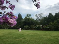 -南宁良凤江国家森林公园