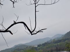-婺源月亮湾
