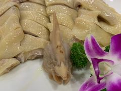 阳山走地鸡-六婶西关小厨(光塔路店)