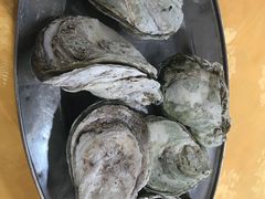 -蚝专家(北滘店)