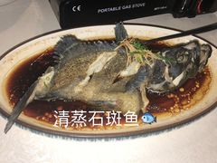 清蒸石斑鱼-琼大师东方烤乳猪(亚特兰蒂斯店)