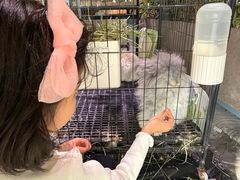 -大视光学•LINDBERG林德伯格•全球手工眼镜集合店(王府井店)