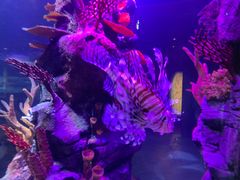 -沈阳海洋探索中心