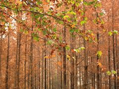 -河南省黄河迎宾馆