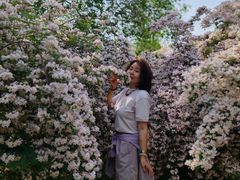 -永定河休闲森林公园