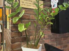 -大鸭梨烤鸭(甘家口店)