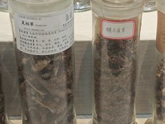-广东中医药博物馆