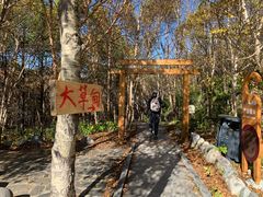 -白草畔自然风景区