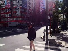 -秋叶原电器街