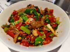 -壹盏灯(惠农店)