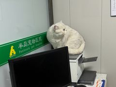 -半岛宠物医院24小时(科华中路店)