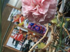 大堂-燃木齐藏餐厅(八宿店)