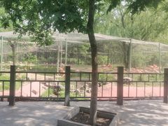 -石家庄市动物园