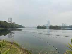 -南宁南湖公园