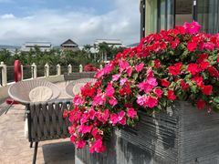 -大堂酒廊·亚龙湾万豪度假酒店