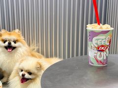-DQ·蛋糕·冰淇淋(五角场万达店)