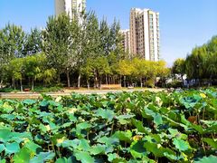 -南翠屏公园