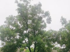 -西安市广仁寺