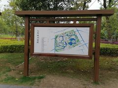 -九科绿洲