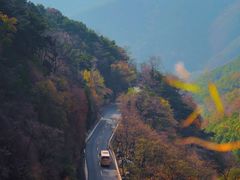 -泰山风景名胜区