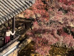 -虞山风景区