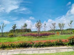 -上海海湾国家森林公园