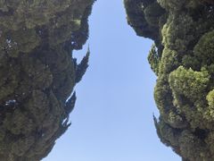 -小麦岛公园