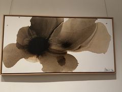 -晶采轩(虹桥路店)