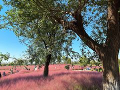 -汉长安城未央宫国家考古遗址公园