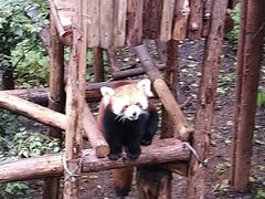 -昆明动物园