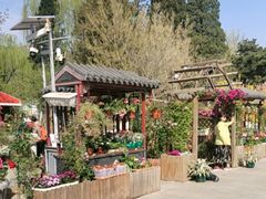 -北京植物园-展览温室