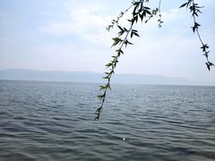 -大理洱海