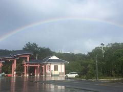 -九龙江国家森林公园