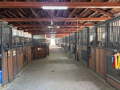 -北京群众马术培训基地